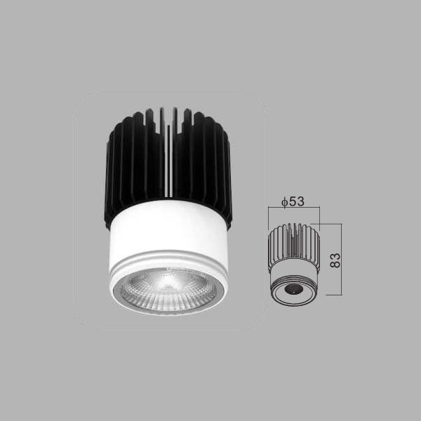 LED MODULE LIGHT