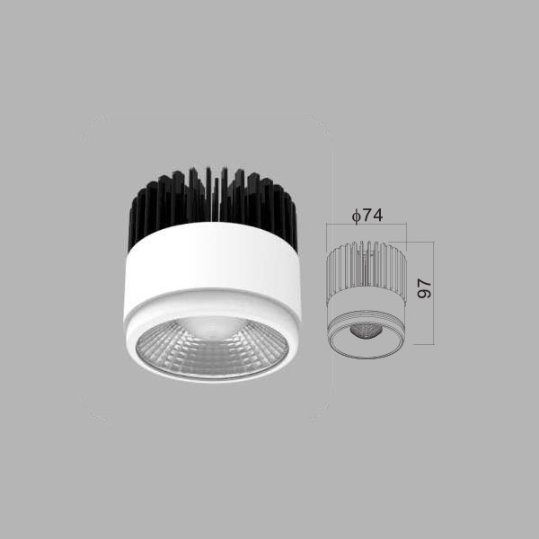 LED MODULE LIGHT