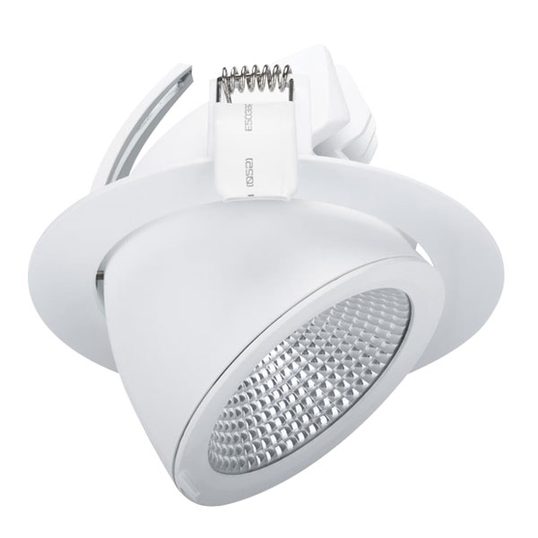 ZOOM LED Downlight