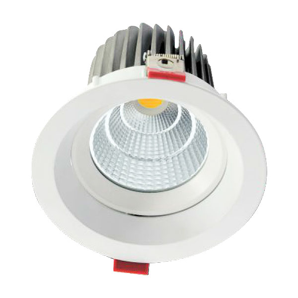 LED Downlight