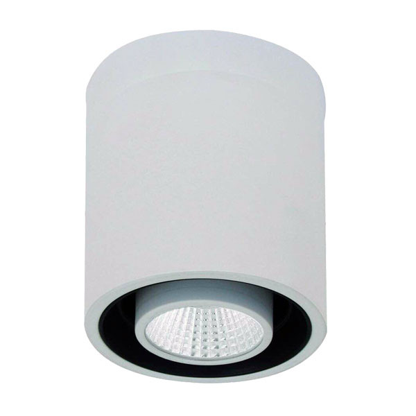 Surface Mounted LED Downlights