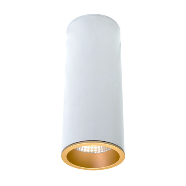 Surface Mounted LED Downlights